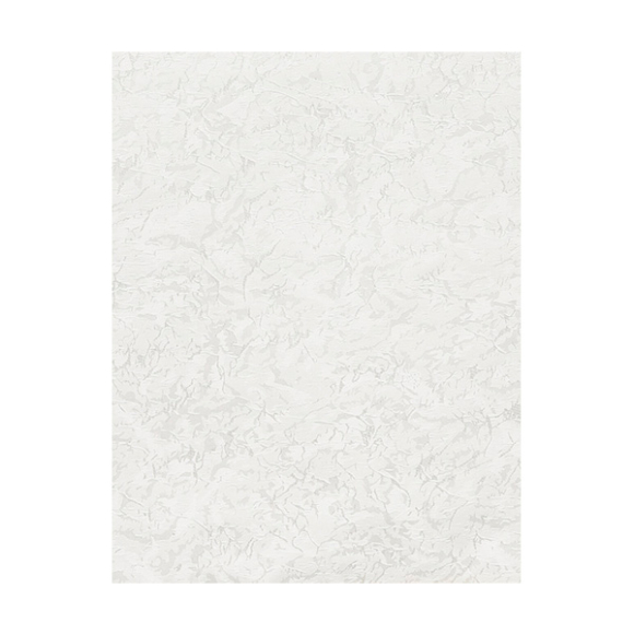 Рулонная штора Delfa СРШ-03П-79505 160x170 см (белый)