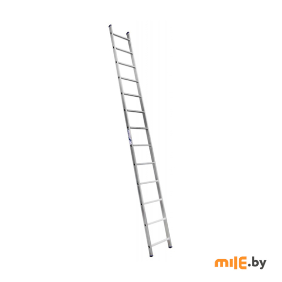 Лестница 1-секционная Алюмет 5113