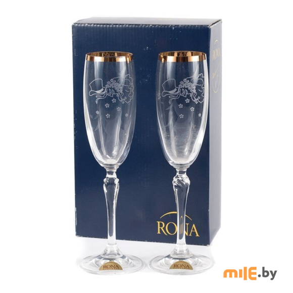 Набор бокалов для шампанского Rona Lucia (2227/24525/160) 2 шт.
