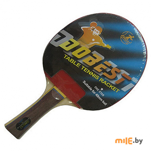 Ракетка для настольного тенниса (BR01) 1 звезда