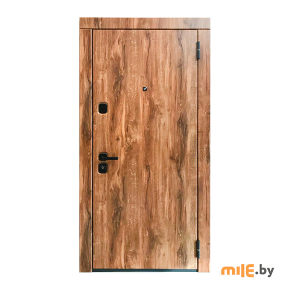 Входная металлическая дверь МагнаБел-10 2050х960 (правая)
