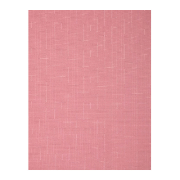 Рулонная штора Delfa СРШ-01МЭ-2652 68x215 см (розовый)