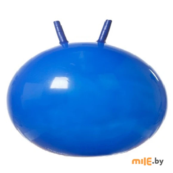 Мяч гимнастический Relmax 55 см