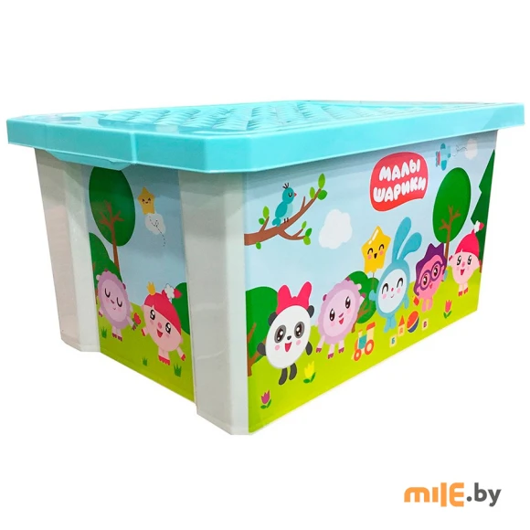 Детский Ящик для хранения игрушек Little Angel LA1127