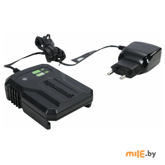 Зарядное устройство Greenworks G40UCM2M (2946507)