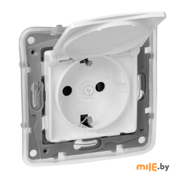 Розетка с крышкой Legrand Etika 672226 (белый)