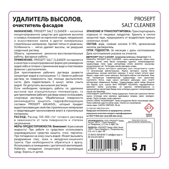 Удалитель высолов Prosept SALT Cleaner 1:2 (021-5) 5 л