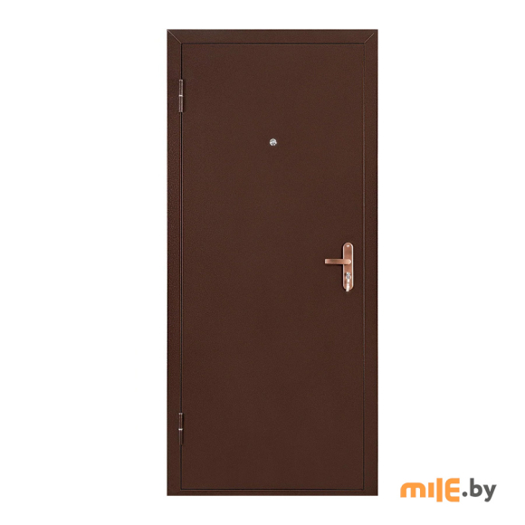 Входная металлическая дверь Промет Профи 2050х950 (левая)