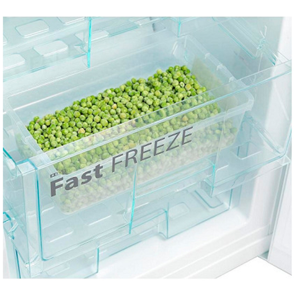 Холодильник Snaige RF36NG-P000NG0