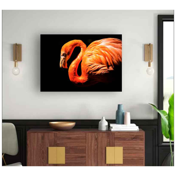Картина на стекле Stamprint Фламинго (AN007) 70х100 см