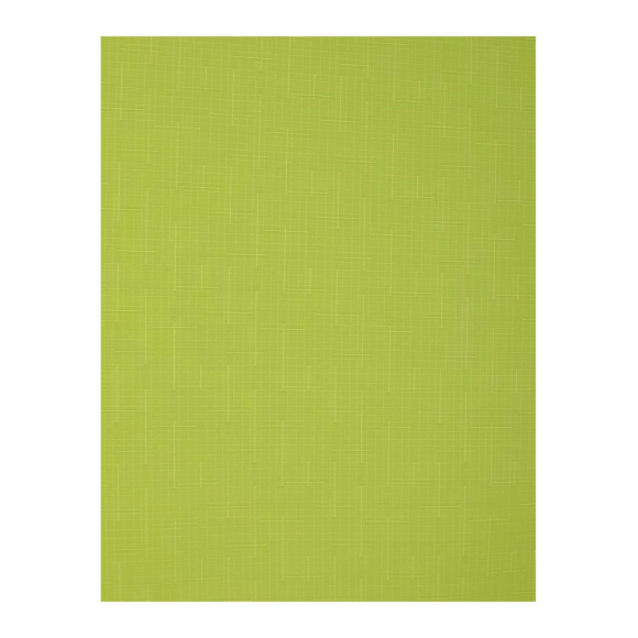 Рулонная штора Delfa СРШ-01МЭ-2653 62x160 см (светло-зеленый)