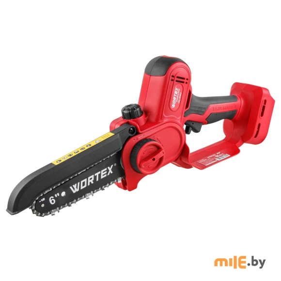 Аккумуляторная мини-пила Wortex CEC 2518-2 ALL1 XLT Set (1334828)