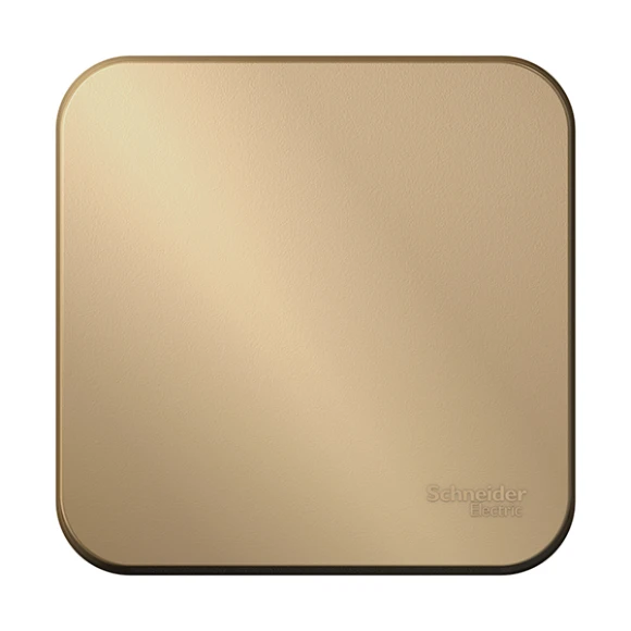 Переключатель Schneider Electric Blanca BLNVA106014 (титан)