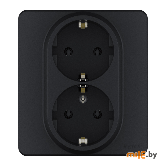 Розетка 2x2P + E Legrand Inspiria (673753) антрацит