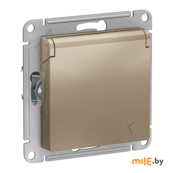 Розетка Schneider Electric AtlasDesign (ATN000546) (шампань)