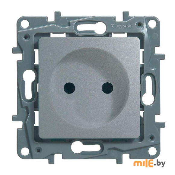 Розетка со шторками Legrand Etika 672434-00.00-00.00-00.01 (алюминий)