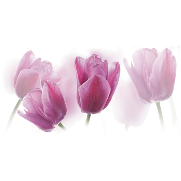 Декор керамический Cerrol TULIPAN Centro 500x200 (фиолетовый белый)