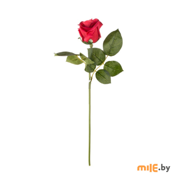 Искусственное растение Насвечник розы (CF2363)