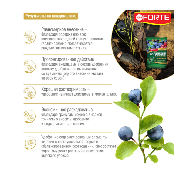 Удобрение Bona Forte для голубики и лесных ягод с биодоступным кремнием 2,5 кг