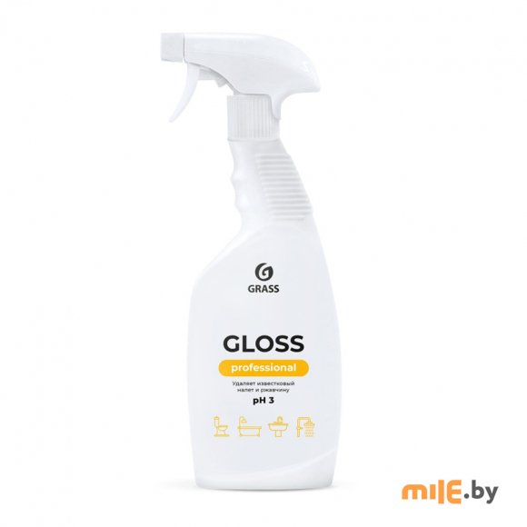 Чистящее средство Grass Gloss Professional 600 мл