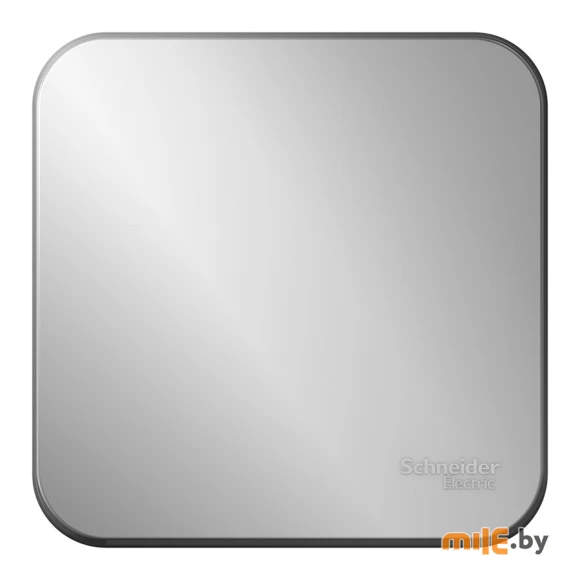 Переключатель Schneider Electric Blanca BLNVA106013 (серебро)