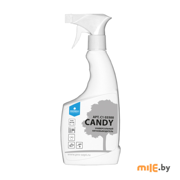 Универсальный пятновыводитель Prosept Candy 0,5 л