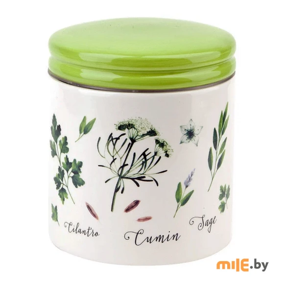 Банка для сыпучих продуктов Dolomite Herbal green (L2520940) 480 мл