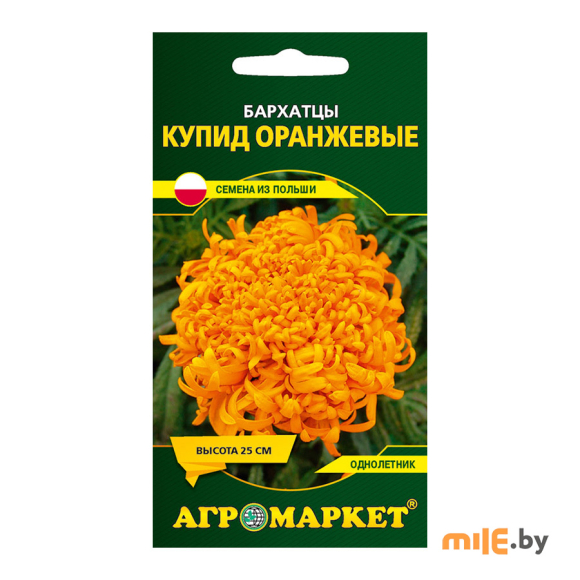 Семена бархатцев Агромаркет Купид оранжевый 0,5 г