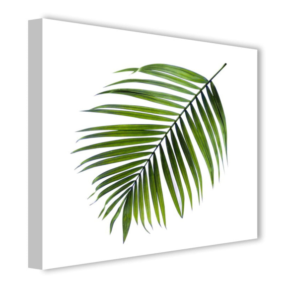 Репродукция на холсте STYLER "Пальмовый лист" CA-11956, 32x32 см