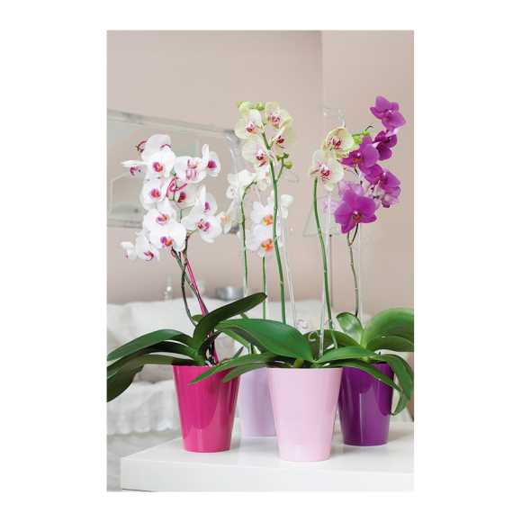 Опора для цветов и растений Form-Plastic 0308PS-TC06 0,59 м (розовый)