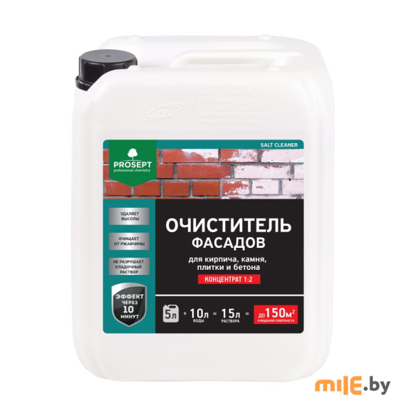 Удалитель высолов Prosept SALT Cleaner 1:2 (021-5) 5 л