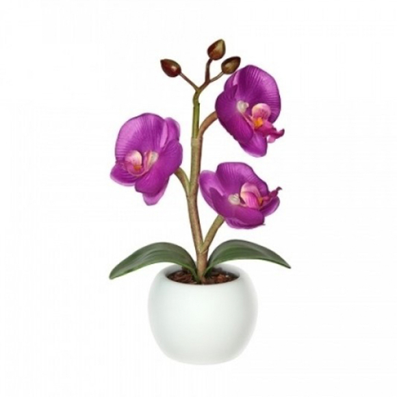 Лампа настольная СТАРТ Орхидея (10651) (белый/фиолетовый)