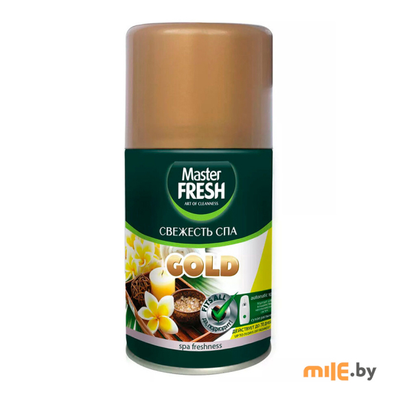 Сменный баллон освежителя воздуха Master Fresh Свежесть SPA 250 мл