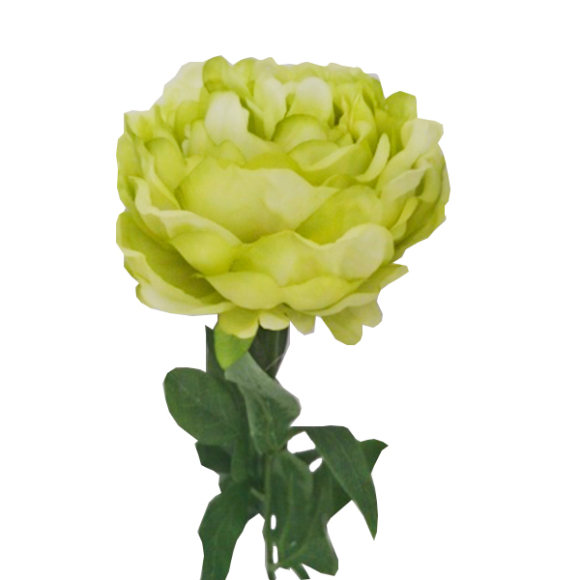 Искусственное растение Пион одиночный нежно-зеленый 75 см (16-0040)