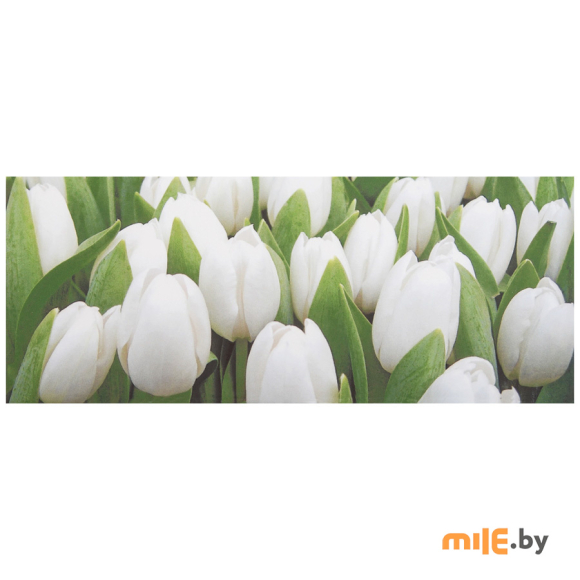 Плитка керамическая Atem 200х500 Tulip Mini W (маленькие тюльпаны)
