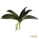 Искусственное растение Лист Орхидеи (81 см)