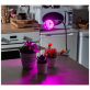 Лампа светодиодная для растений Uniel LED-A60-8W/SPSB/E27/CL PLP30GR