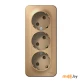 Розетка Schneider Electric Blanca BLNRA010314 (титан)