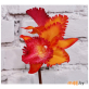 Искусственное растение Орхидея (06-044-v)