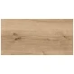 Керамогранит Cersanit Woodhouse (WS4O152) 598x297 мм