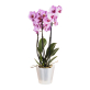 Горшок для орхидей Idiland D160 (белый перламутр)