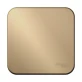 Переключатель Schneider Electric Blanca BLNVA106014 (титан)