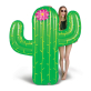 Матрас надувной BigMouth Cactus BMPF-CT
