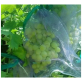 Сетка для защиты винограда Interlok 30 шт