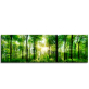 Репродукция на холсте 45x140 см "Солнечный зайчик в лесу"; Арт.: CA-11932