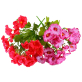 Искусственный цветок 06-128-B (цвет: мультиколор)