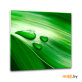Репродукция на стекле Styler GL-00008 (30x30 см)