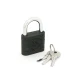 Замок навесной Palladium 305F-50 (серый)